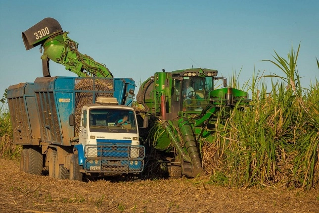 Produção de etanol no Brasil deve ultrapassar 34 bilhões de litros na safra 2023/2024.