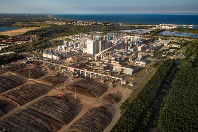 Suzano Papel e Celulose anuncia intenção de construir fábrica de papel tissue e conversão em Aracruz-ES.