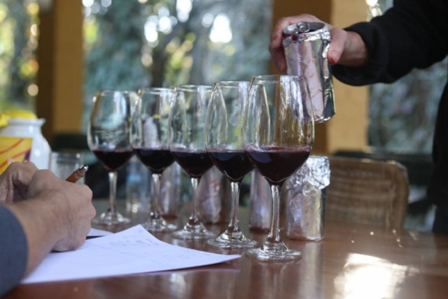 Vinhos enlatados ganham mercado, uma tendência que veio para ficar. 