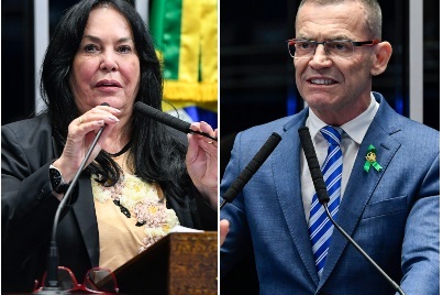 Senadores do ES votaram contra o decreto de armas