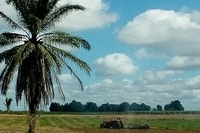 Veja vídeo: Prefeitura Municipal de Conceição da Barra-ES oferece serviço de preparo de solo aos agricultores familiares do Córrego do Jundiá.