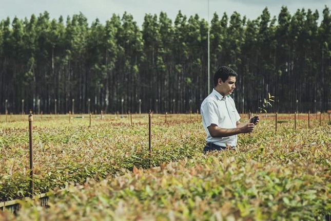 Suzano lança desafio para fornecedores em busca de alternativas ao consumo do plástico, iniciativa faz parte do Programa de Inovabilidade da companhia.